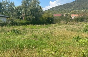 Teren intravilan , Miron Costin,zona Mărul de Aur,Baia Mare