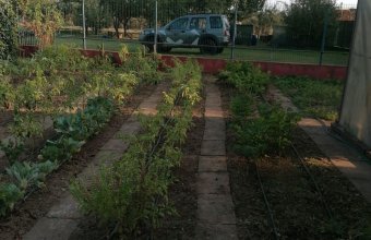 Casă P+M ,Bârgău ,comuna Cicârlău