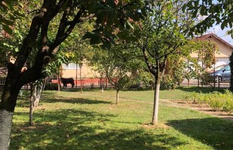 Casă P+M ,Bârgău ,comuna Cicârlău