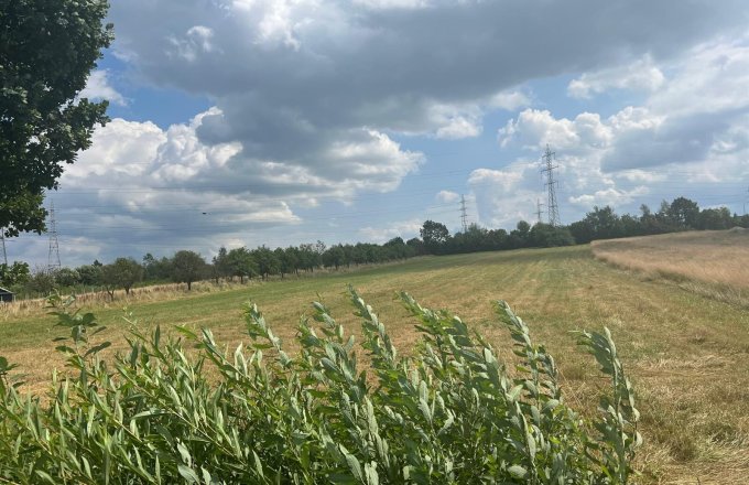 Teren extravilan Vrancei ,Satu Nou de Sus 3600 mp