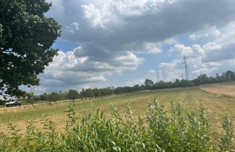 Teren extravilan Vrancei ,Satu Nou de Sus 3600 mp