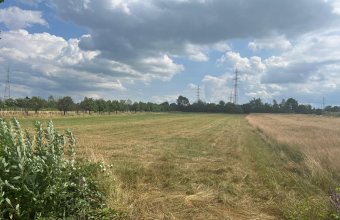 Teren extravilan Vrancei ,Satu Nou de Sus 3600 mp