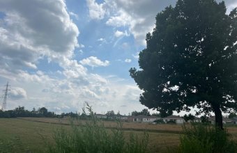 Teren extravilan Vrancei ,Satu Nou de Sus 3600 mp