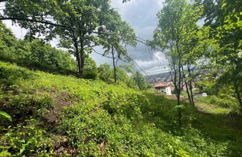 Teren Viilor Baia Mare ,1181 mp