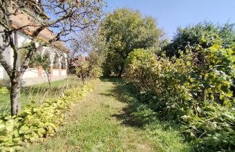 Vânzare casă de patrimoniu – Strada Paris, Baia Mare