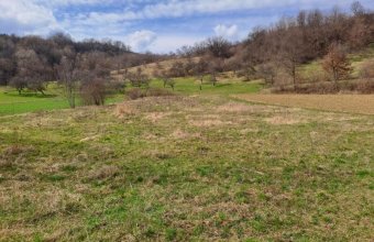 Teren deosebit , com. Cernesti - Fânețe , rîul Bloaja