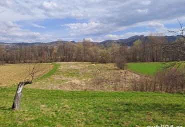 Teren deosebit , com. Cernesti - Fânețe , rîul Bloaja