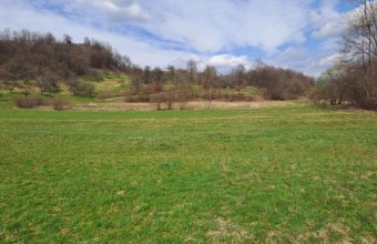 Teren deosebit , com. Cernesti - Fânețe , rîul Bloaja