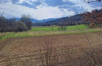 Teren deosebit , com. Cernesti - Fânețe , rîul Bloaja