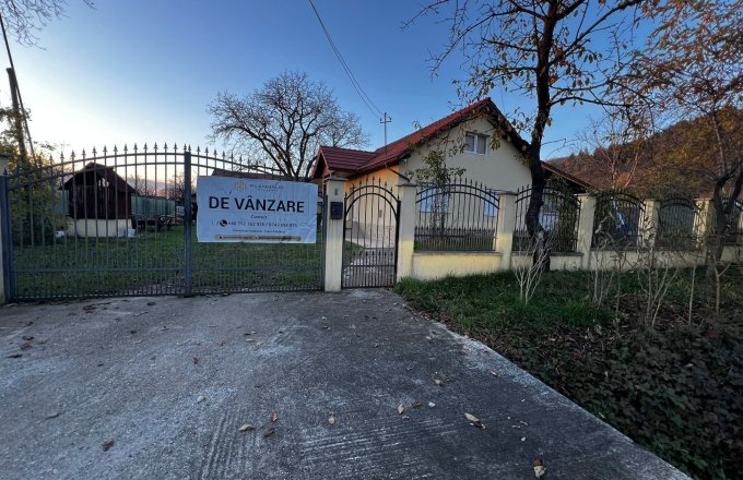 Casă individuală de vânzare Ilba ,cu teren si viță de vie