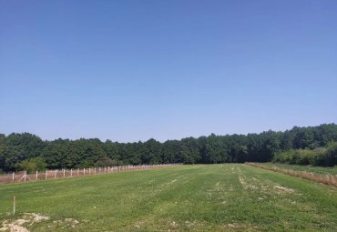 Teren Lăpușel, intravilan, plat, lângă pădure, 7 km de Baia Mare!