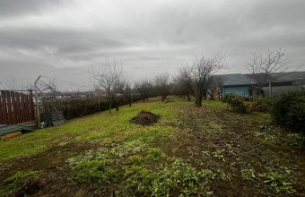 Casă individuală , Lăpușel ,25 ari teren