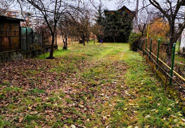 Teren Intravilan de 1 Hectar – Zonă Rezidențială Premium, Str. Miron Costin