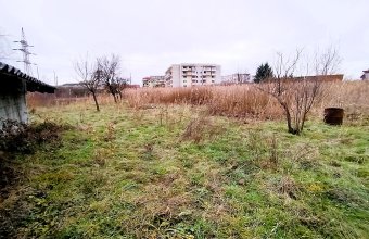 Teren Intravilan de 1 Hectar – Zonă Rezidențială Premium, Str. Miron Costin