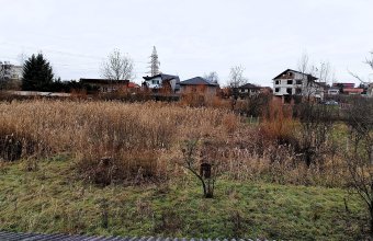 Teren Intravilan de 1 Hectar – Zonă Rezidențială Premium, Str. Miron Costin