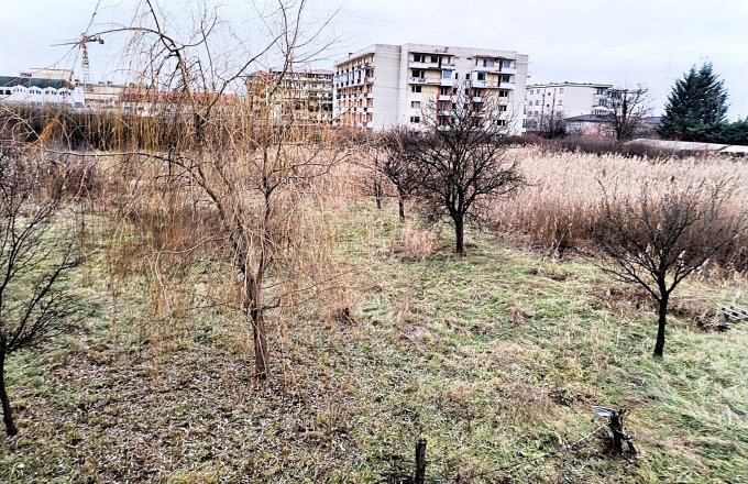 Teren Intravilan de 1 Hectar – Zonă Rezidențială Premium, Str. Miron Costin