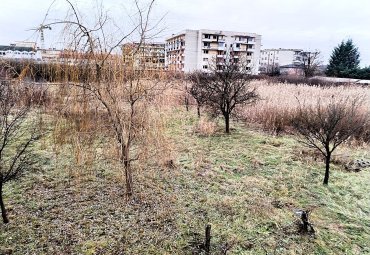 Teren Intravilan de 1 Hectar – Zonă Rezidențială Premium, Str. Miron Costin