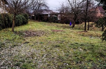 Teren Intravilan de 1 Hectar – Zonă Rezidențială Premium, Str. Miron Costin