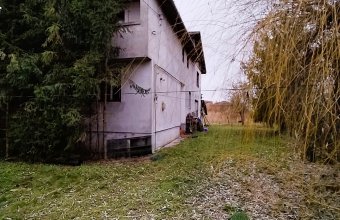 Teren Intravilan de 1 Hectar – Zonă Rezidențială Premium, Str. Miron Costin