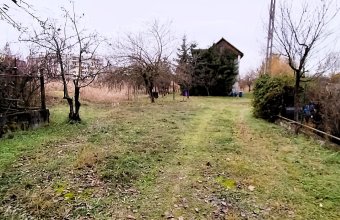 Teren Intravilan de 1 Hectar – Zonă Rezidențială Premium, Str. Miron Costin