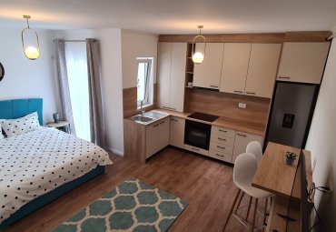 Apartament 1 cameră, zona Centrul Vechi!