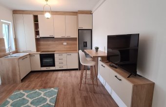 Apartament 1 cameră, zona Centrul Vechi!