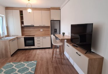 Apartament 1 cameră, zona Centrul Vechi!