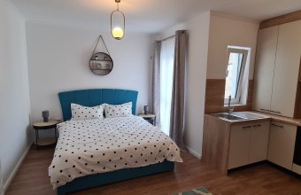Apartament 1 cameră, zona Centrul Vechi!