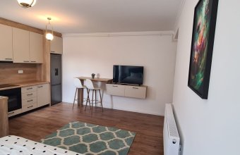 Apartament 1 cameră, zona Centrul Vechi!