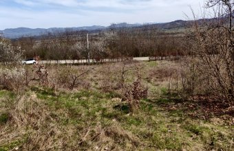 Teren 55 ari, intravilan, Remetea Chioarului!