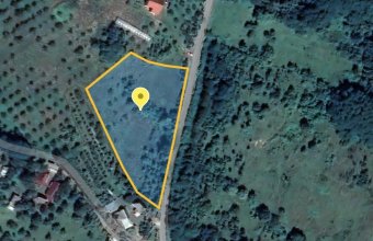 Teren 55 ari, intravilan, Remetea Chioarului!