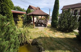 Proprietate cu 20 de camere şi 11 ari de teren lângă Stadionul Baia Mare – ideală pentru pensiune, centru medical, azil