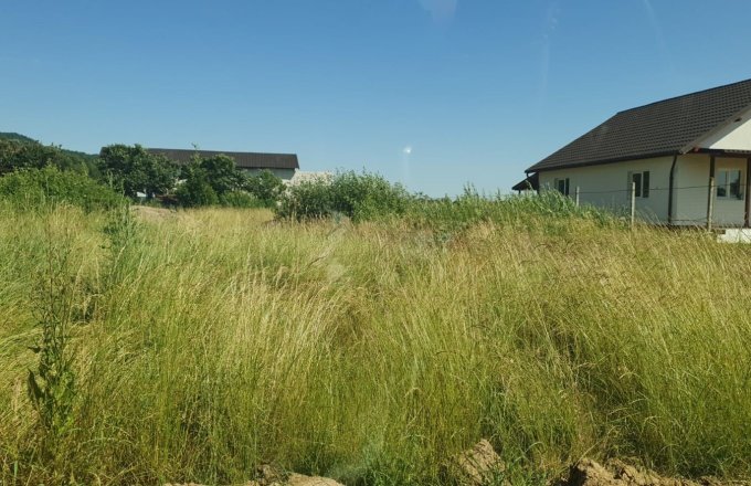 Teren intravilan Cicirlau , 698 mp ,ideal pentru casa