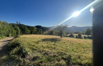 Teren extravilan Izvoare,zona Vidra , ideal cabană