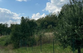 Teren intravilan ,Tautii de Sus 1366 mp ,ideal constructie cas