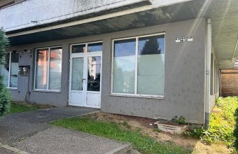 Spatiu comercial V.Alecsandri ,120 mp ,ideal activitati comerciale /cabinete