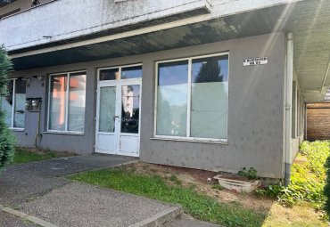 Spatiu comercial V.Alecsandri ,120 mp ,ideal activitati comerciale /cabinete