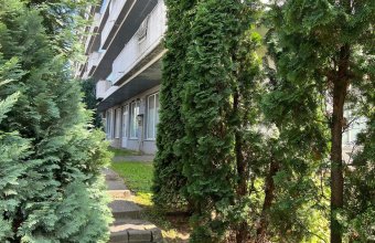 Spatiu comercial V.Alecsandri ,120 mp ,ideal activitati comerciale /cabinete