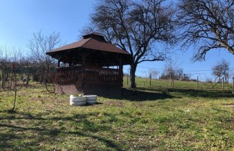 De vânzare: Casă cu livadă – sat Odăști, comuna Băsești, jud. Maramureș