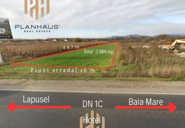 Teren , 40ari , Recea ,hotel Romanita , investitie ,comision 0 %