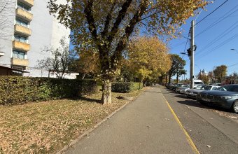 Apartament 1 camera, parter, zona Vivo Mall