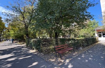 Apartament 1 camera, parter, zona Vivo Mall