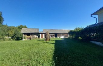 Casă Rohia ,ideală locuit sau pensiune ,zona turistică,45 ari