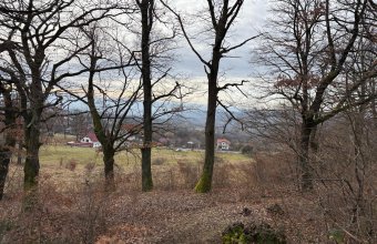 Teren Sisesti la soseaua principala ,langă pensiunea Madlene