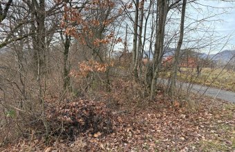 Teren Sisesti la soseaua principala ,langă pensiunea Madlene