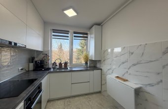 Apartament 3 camere ,ultrafinisat, Victor Babes ,zona Petre Dulfu ,etaj 2