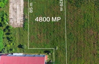 Teren intravilan zona Metro ,PUZ aprobat, Baia Mare, 49 ari