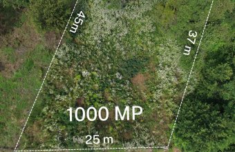 Teren intravilan Ardusat, 1000 mp, acces din drum asfaltat