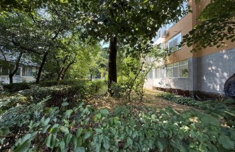 Garsoniera ,Cosbuc zona Carrefour