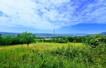 Teren Tăutii de Sus , 9 398 mp ,parcela ideala ansamblu case